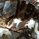 Illustration for article titled Huntin Mechs